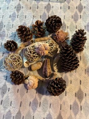 Natural Pinecone and Decorative Potpourri Bowl - Brown and Cream